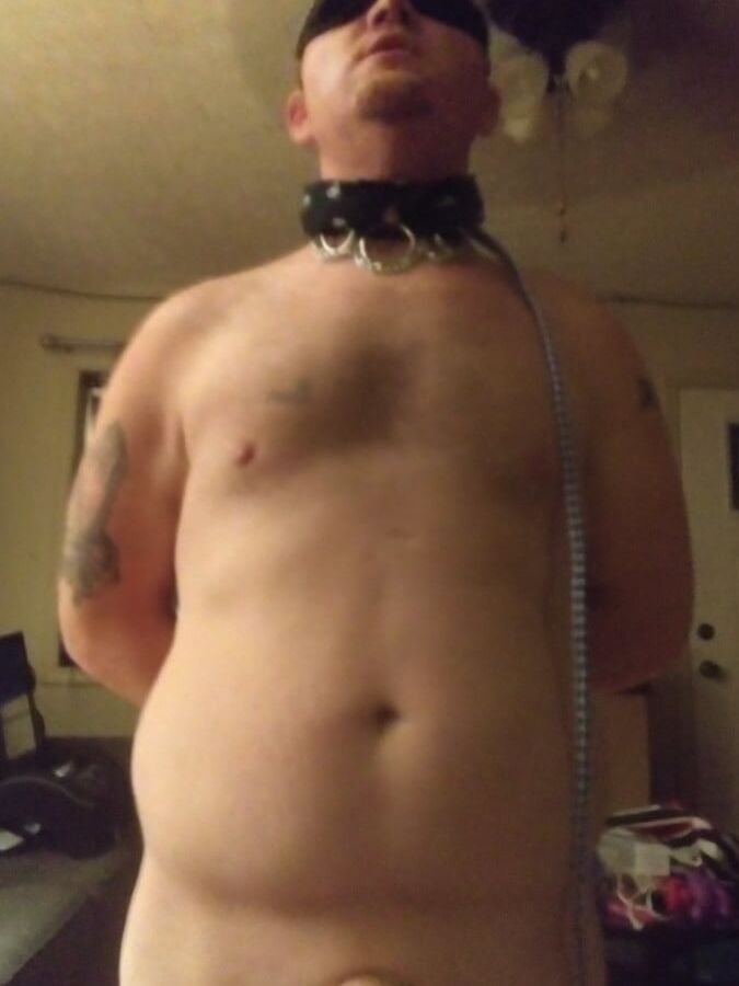 Playing with my pet