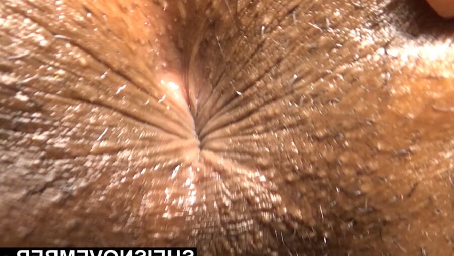 Everything Black BDSM Compilation Creampie Anal msnovember