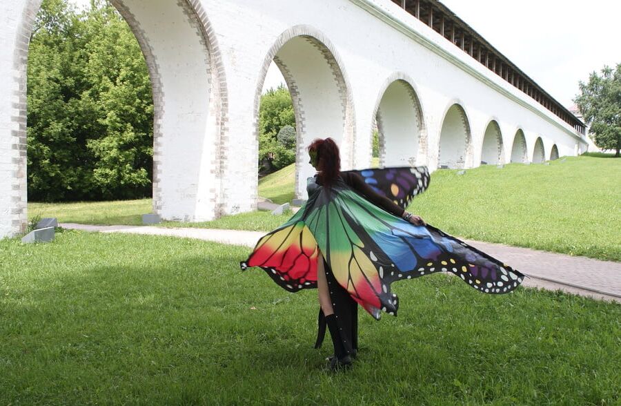 Wings of Butterfly