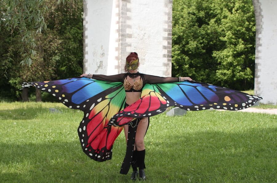 Wings of Butterfly