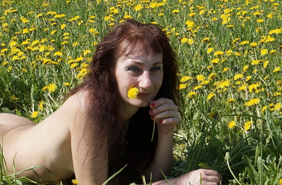 On medow full of yellow flowers 1