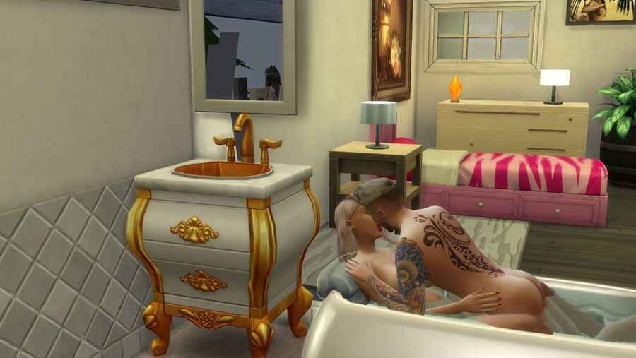 Sex in the bathroom