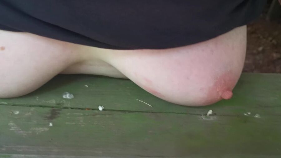 Slapping tits and ass in picnic hut