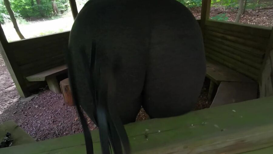 Slapping tits and ass in picnic hut