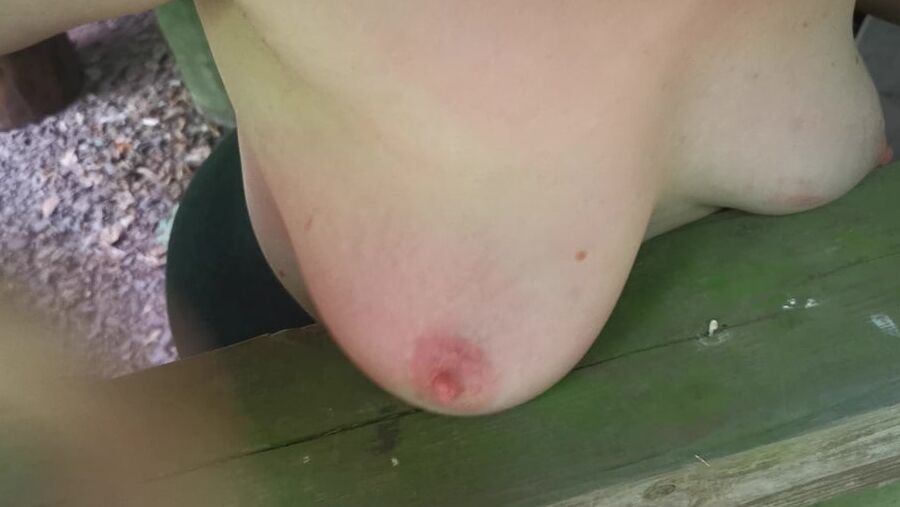 Slapping tits and ass in picnic hut