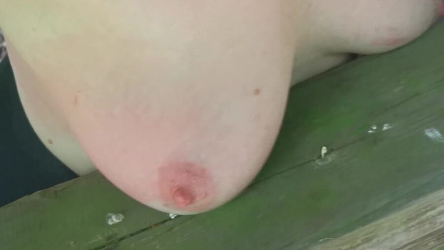 Slapping tits and ass in picnic hut