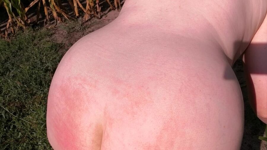 Naked whipping in cornfield