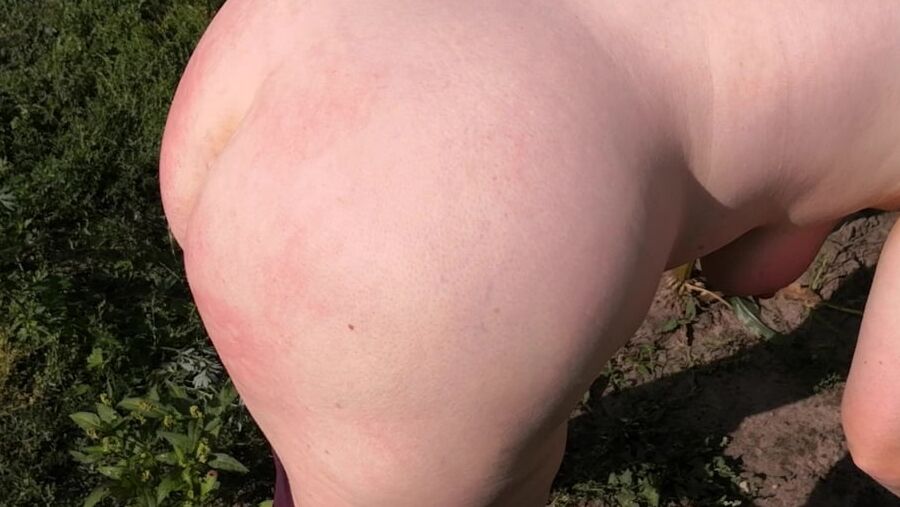 Naked whipping in cornfield