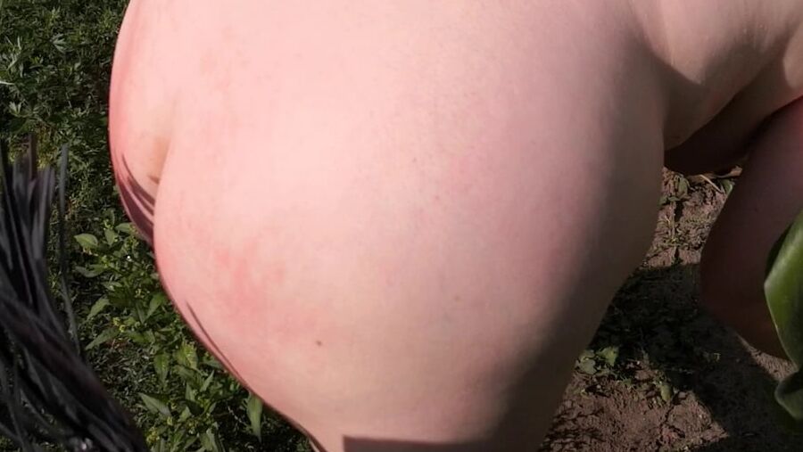 Naked whipping in cornfield