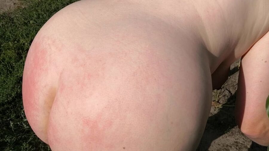 Naked whipping in cornfield