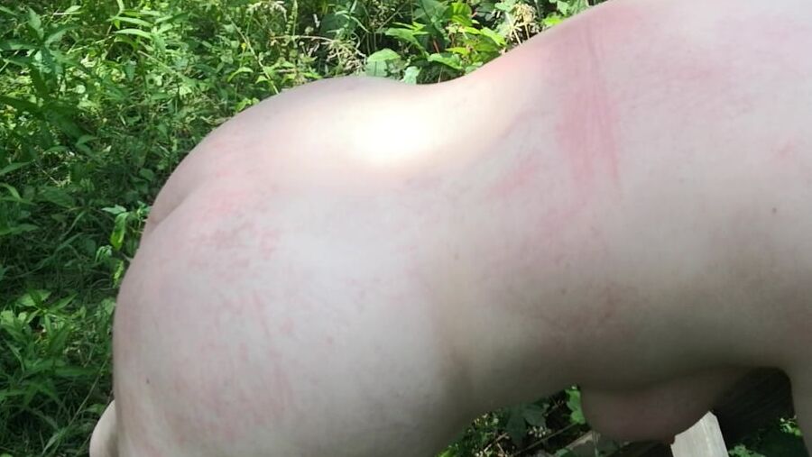 Whip my back in public forest