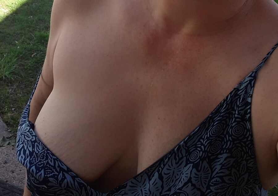 Great tits