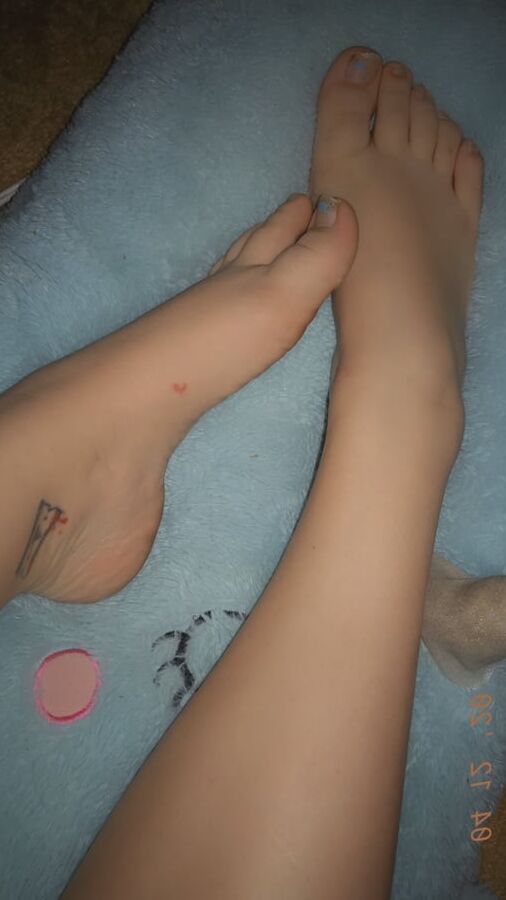 Kitten