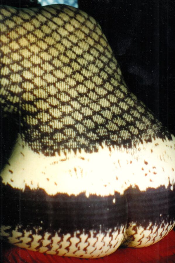 Nylon stockings in the late nineties