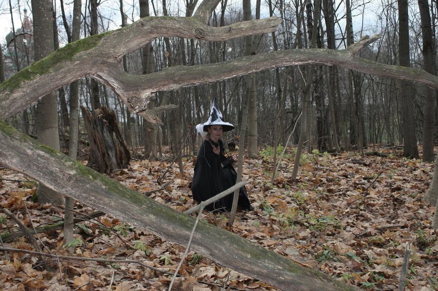 Witch with broom in forest