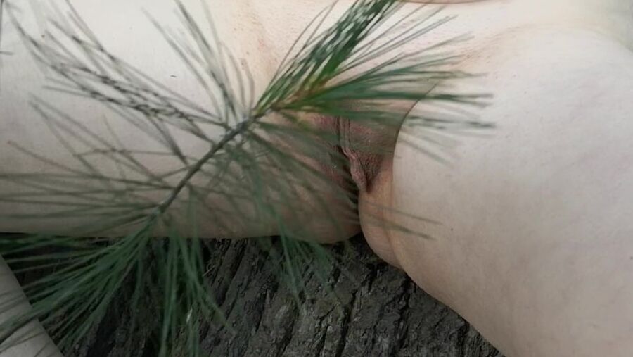 Tit, Ass and Pussy spanking with tree branch