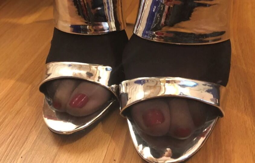 Our Mules