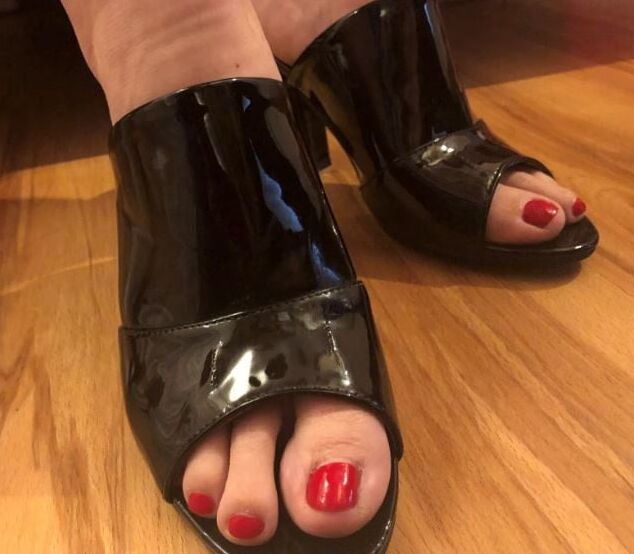 Our Mules