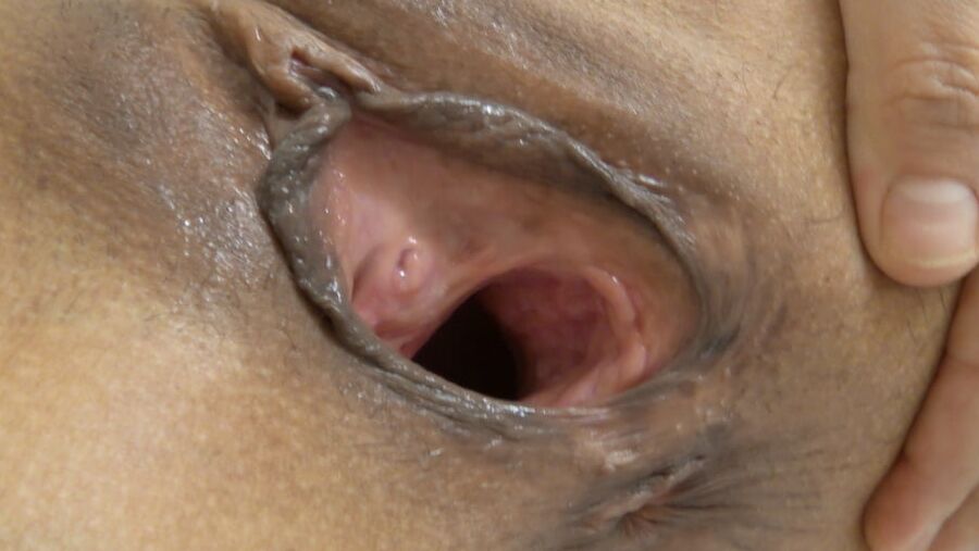 Lick my pussy