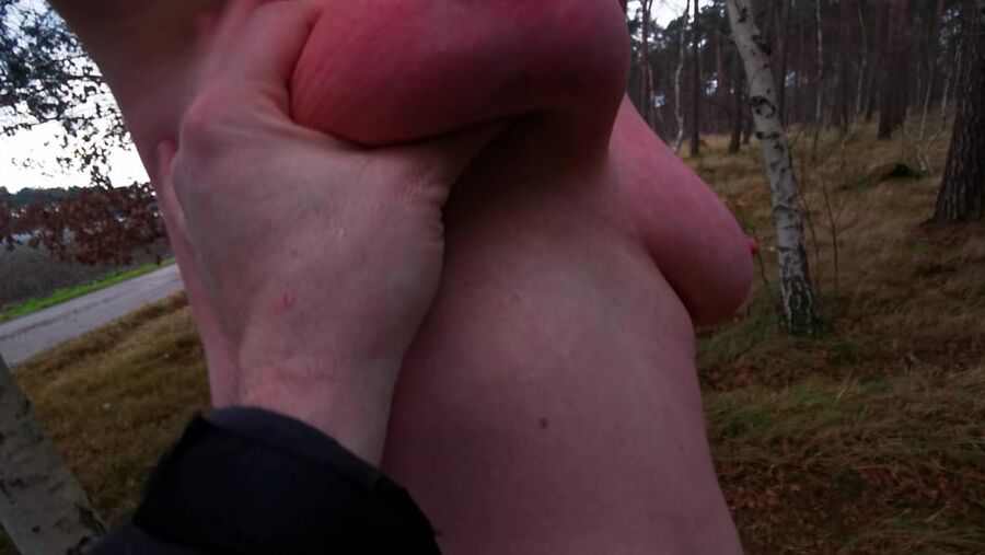 Naked on bench in winter - titslapping