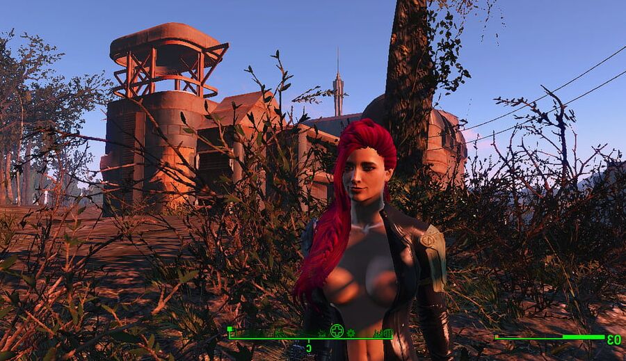 Porno Game (Fallout 4 Sex)