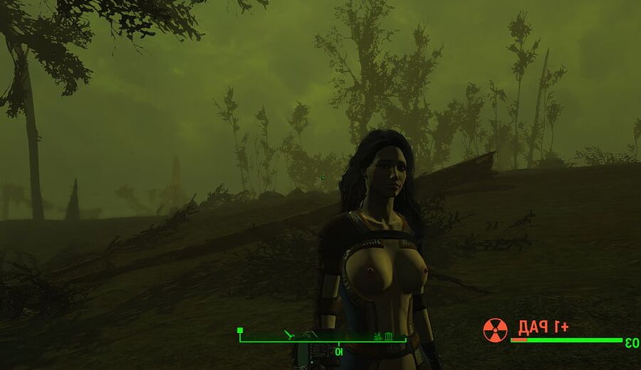 Porno Game (Fallout 4 Sex)