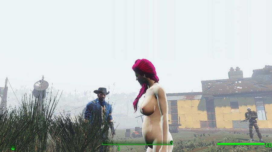Porno Game (Fallout 4 Sex)