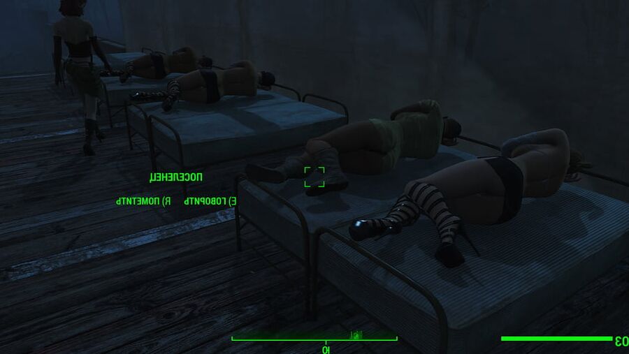 Porno Game (Fallout 4 Sex)