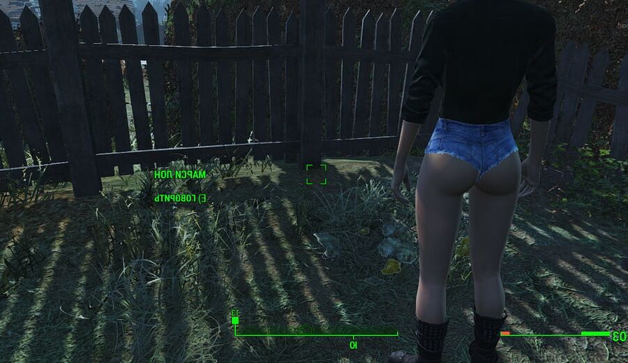 Porno Game (Fallout 4 Sex)
