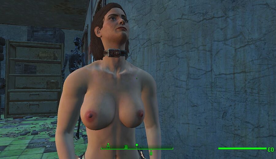 Porno Game (Fallout 4 Sex)