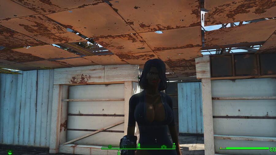 Porno Game (Fallout 4 Sex)