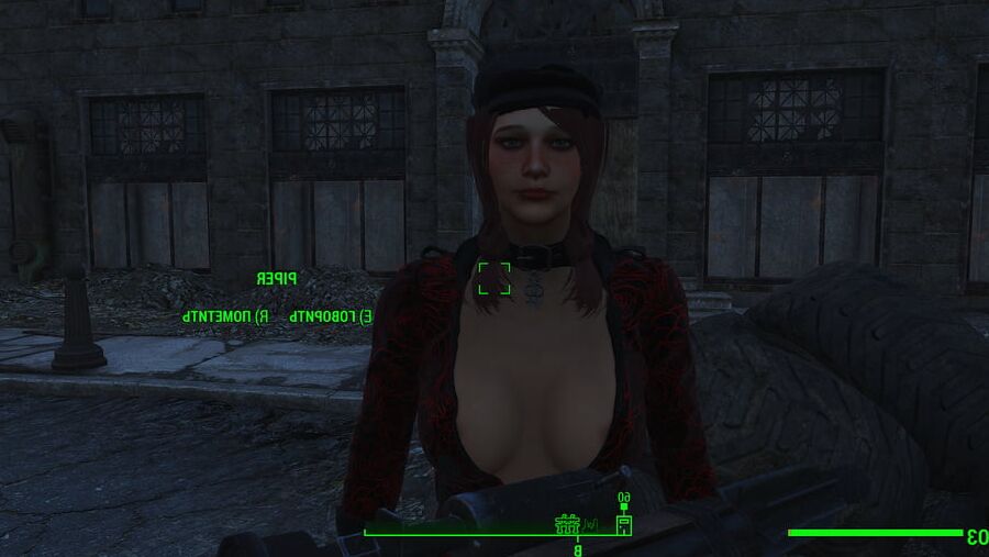 Porno Game (Fallout 4 Sex)