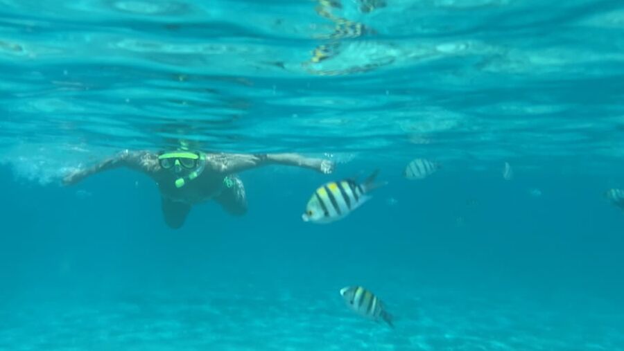 Rate my naked diving experience