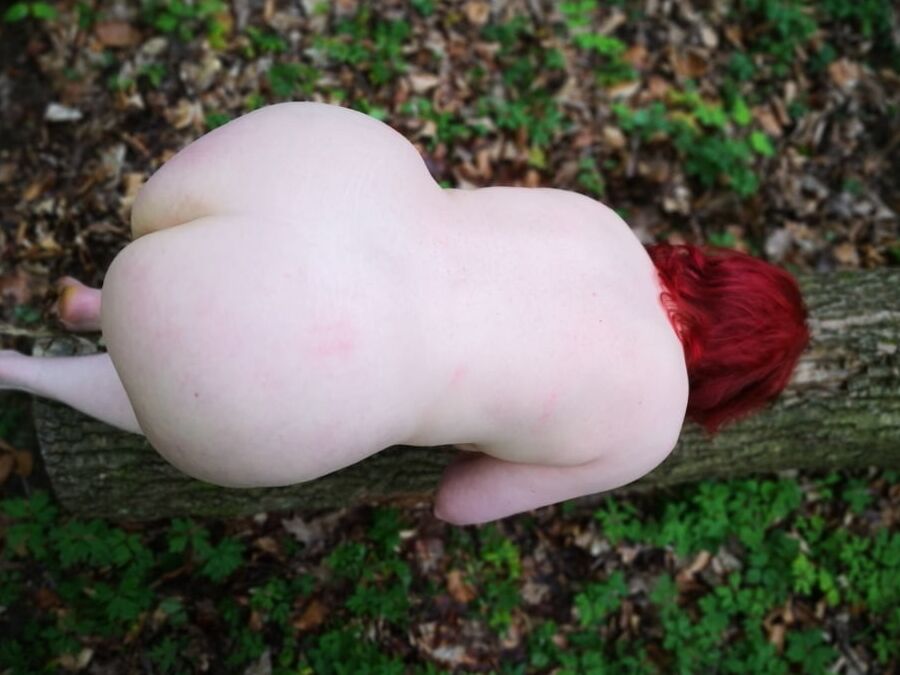 Devot im Wald