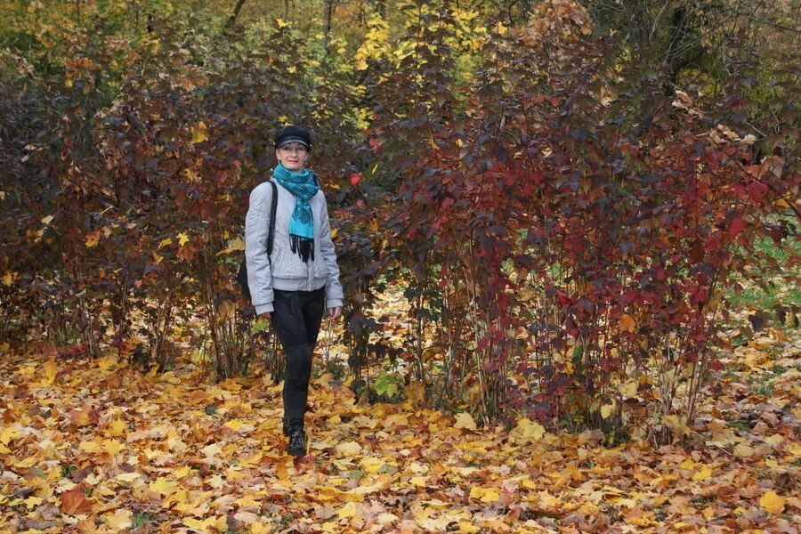 Autumn park