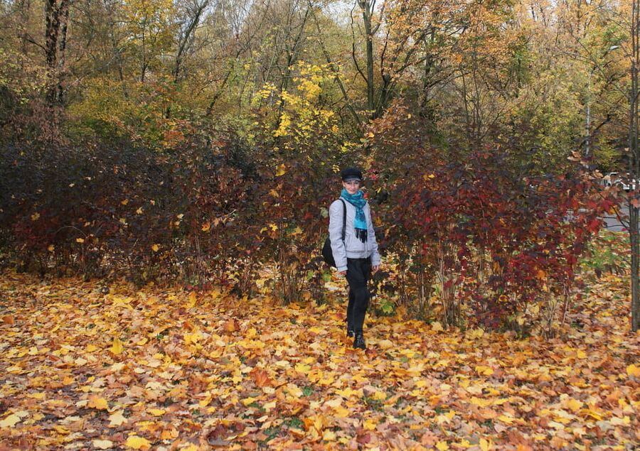 Autumn park