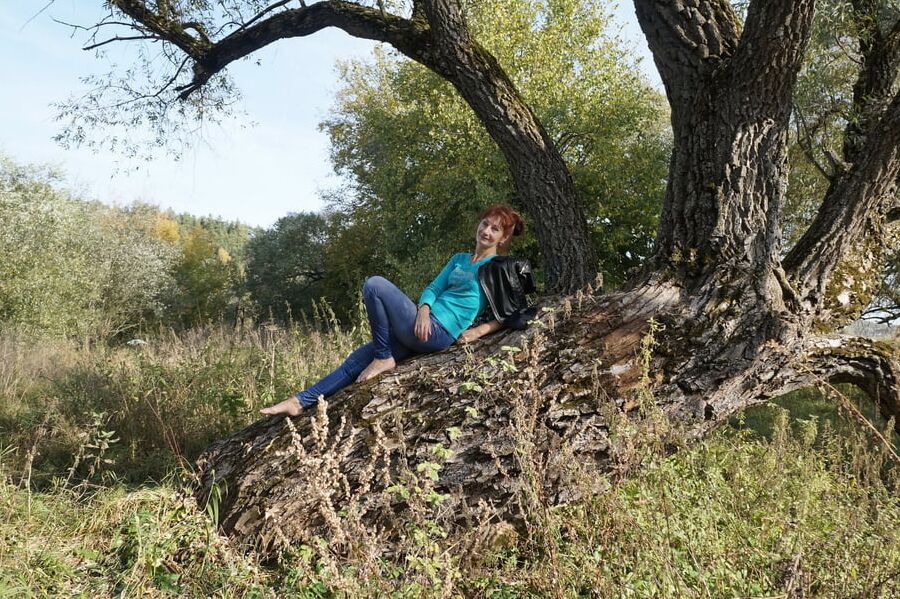 On old willow
