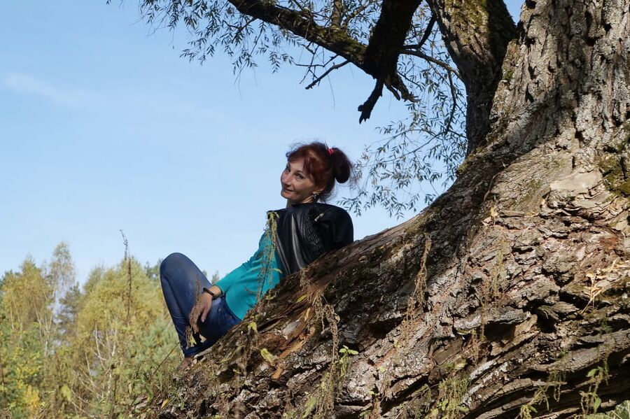 On old willow