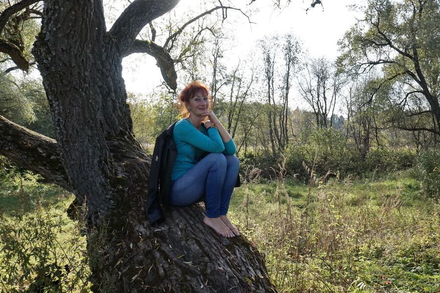 On old willow