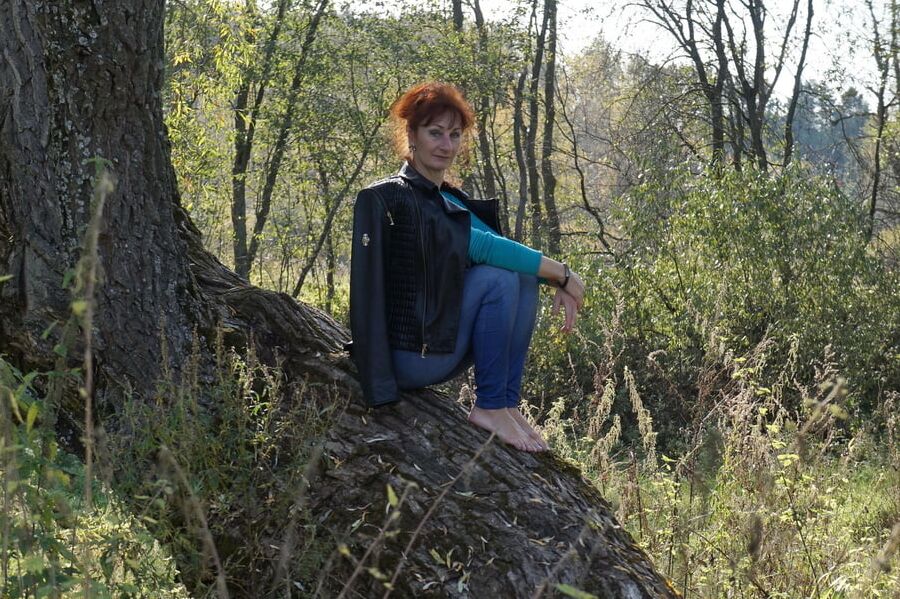 On old willow