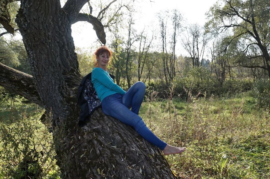 On old willow