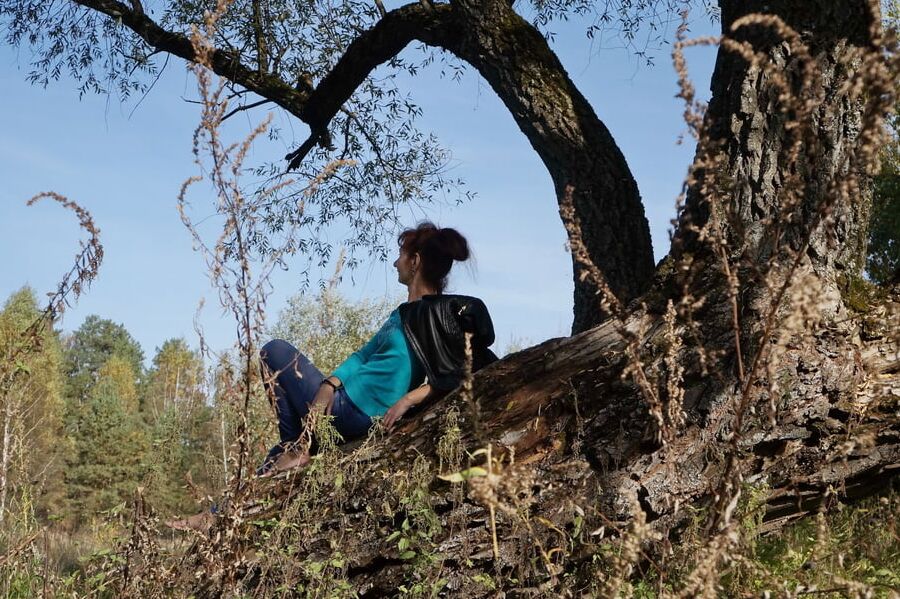 On old willow