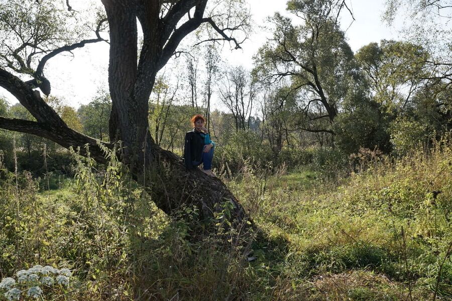 On old willow