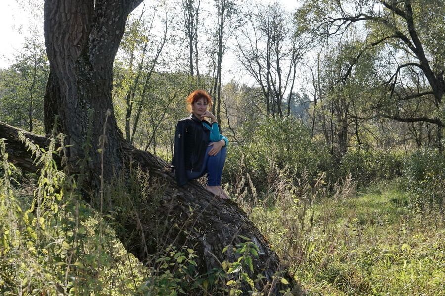 On old willow