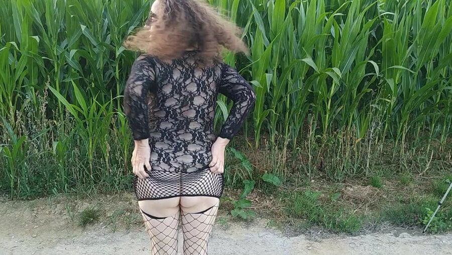 In the field