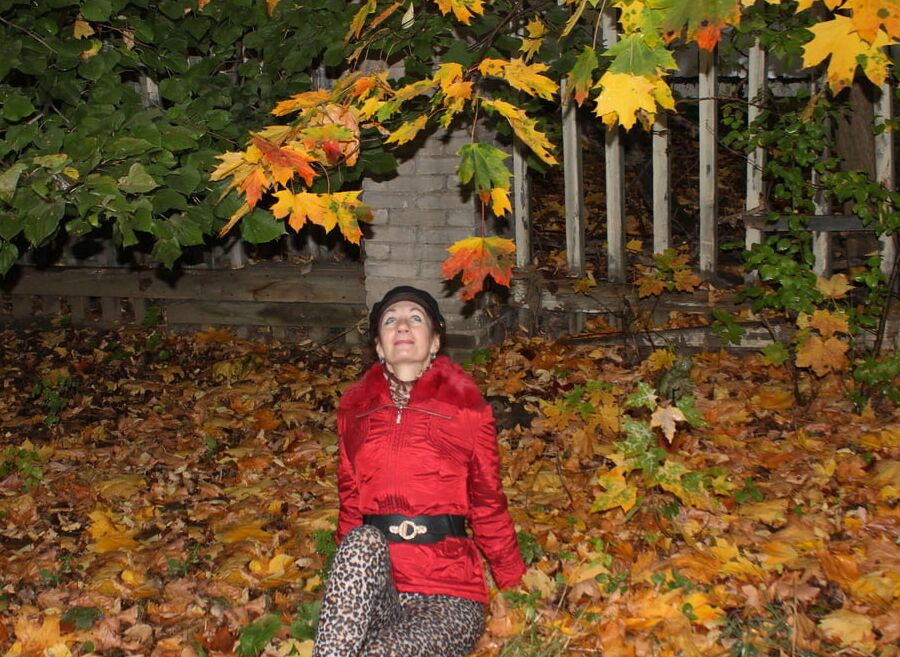 Autumn Album 3