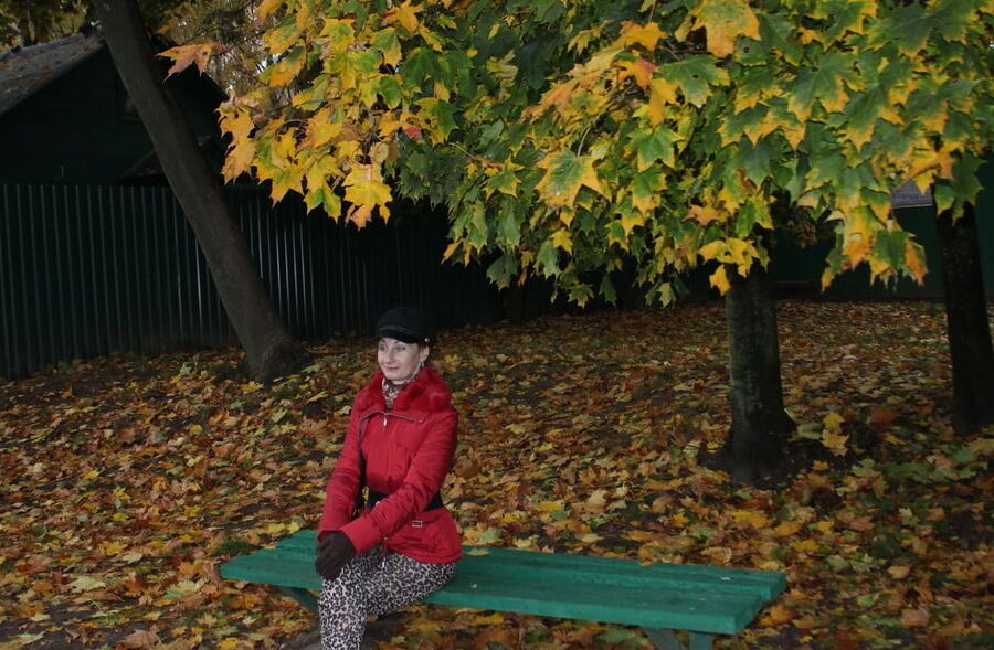 Autumn Album 3