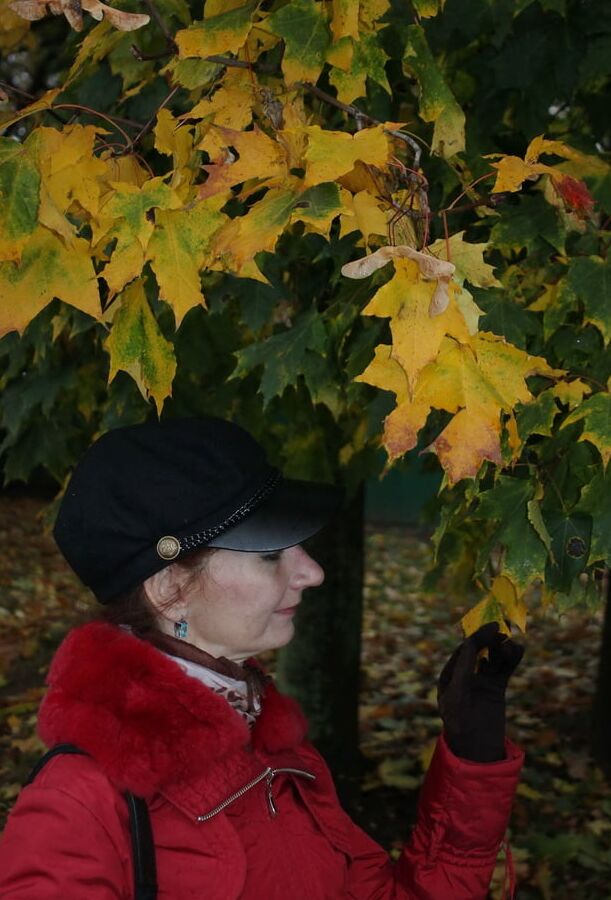 Autumn Album 3