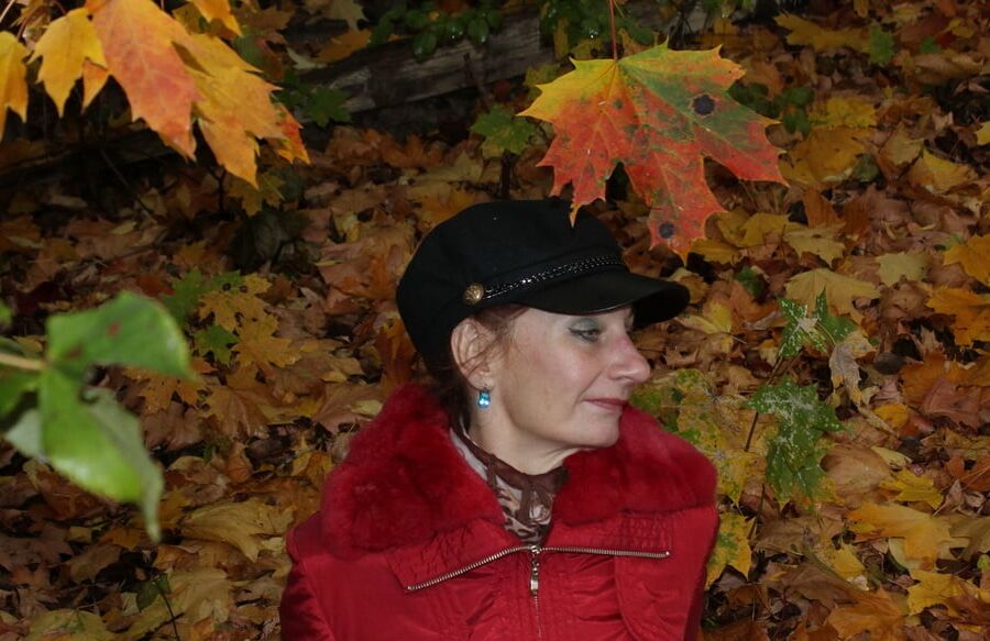 Autumn Album 3