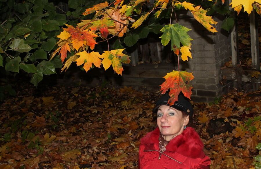 Autumn Album 3